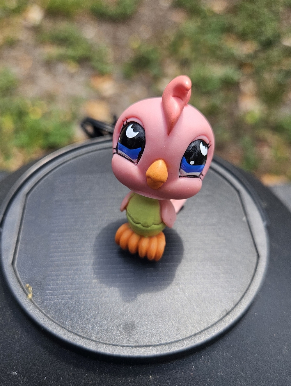 Littlest Pet Shop Cockatoo #854